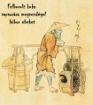 /album/termeszet-haikuk/kobor-ebeket-jpg/